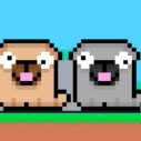 Friends Pug 6 friends pug 1
